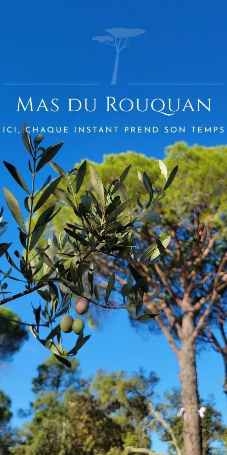 Le Mas Du Rouquan Vidauban Ngoại thất bức ảnh