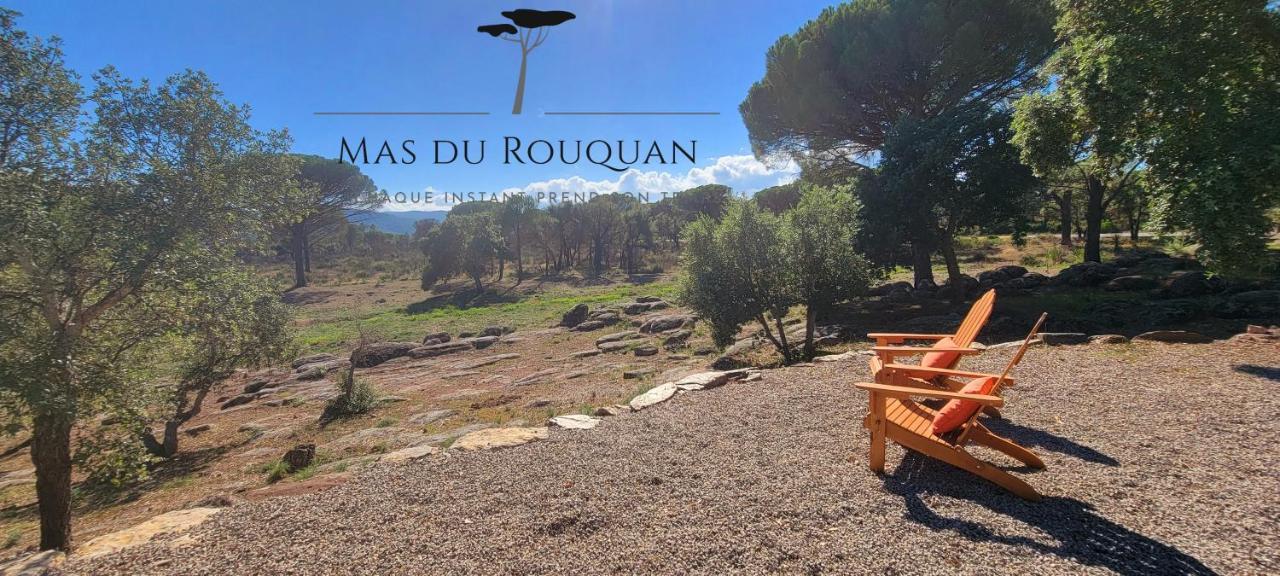 Le Mas Du Rouquan Vidauban Ngoại thất bức ảnh